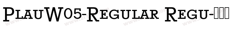 PlauW05-Regular Regu字体转换